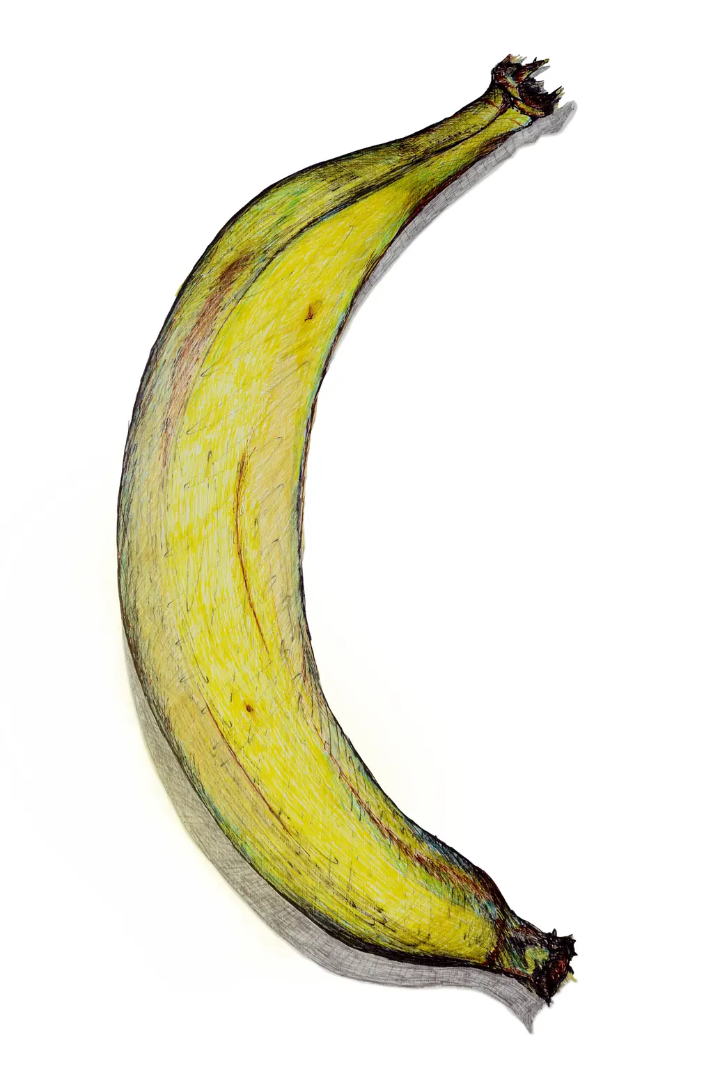 Avant Limited Edition Print